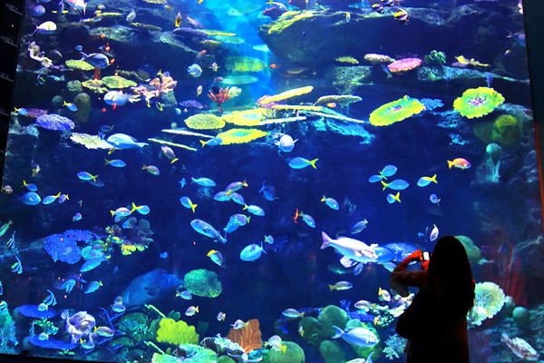 sea-life-bangkok-ocean-world1